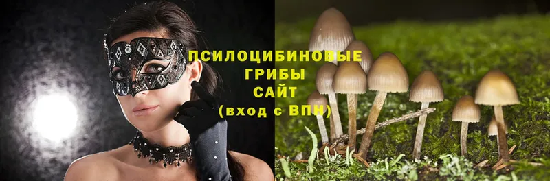 Галлюциногенные грибы Psilocybine cubensis  Нарьян-Мар 